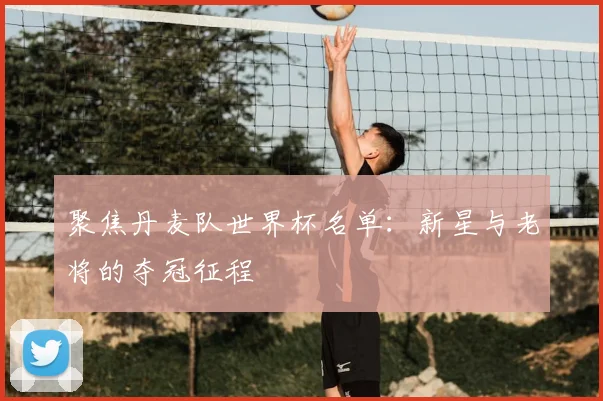 聚焦丹麦队世界杯名单：新星与老将的夺冠征程